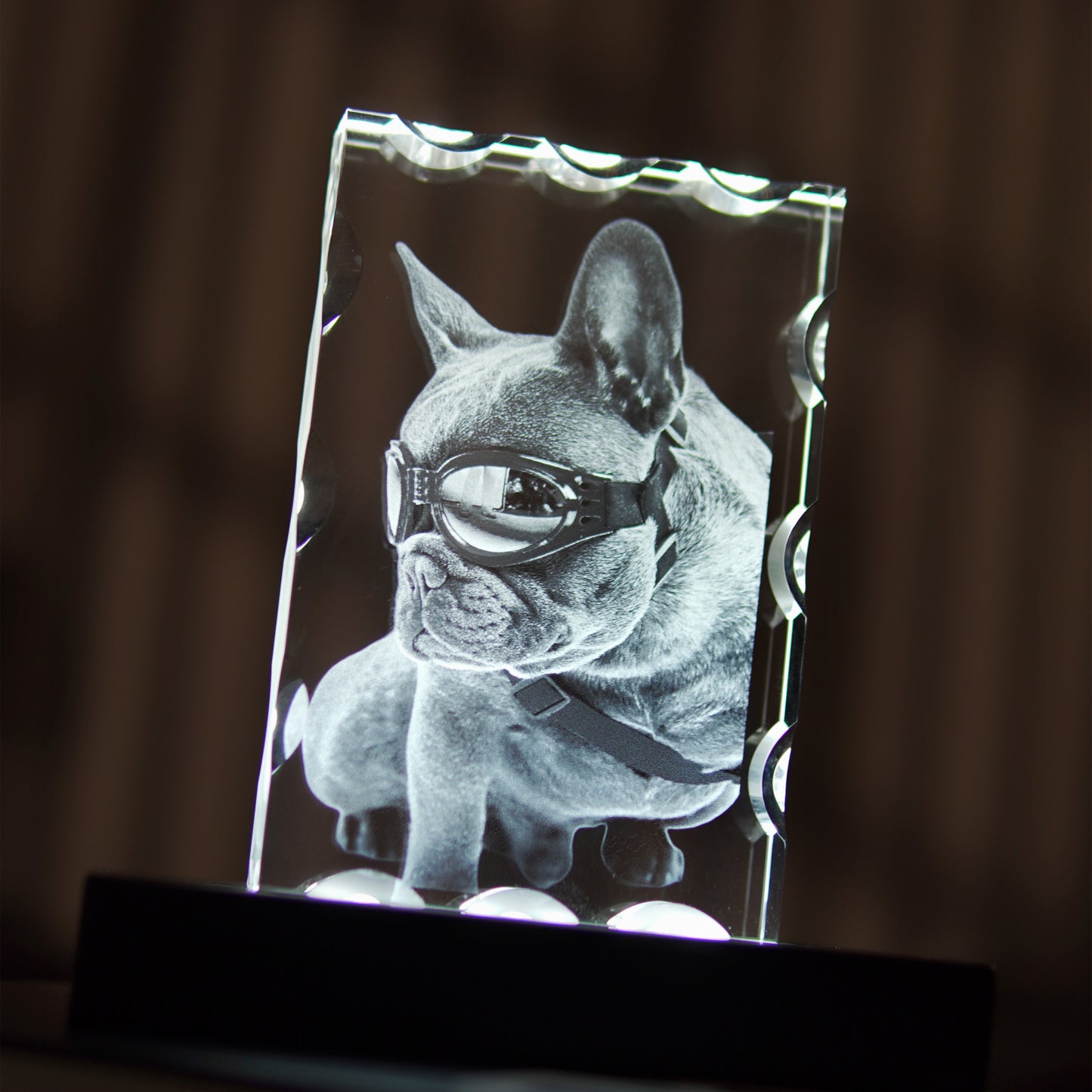 Retrato Ornamental