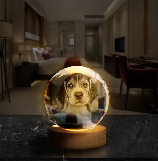 Magic Ball Mascotas